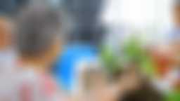 Atelier bouture à la serre citoyenne