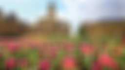 Charleville-Mézières récupère "sa" 3è fleur !