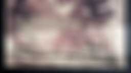 Bonaventure Fieullien