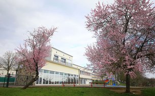 Ecole Franck Mozart