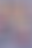 2025_affiche_fmtm.png
