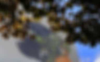 Fresque Aube, rue de Warcq