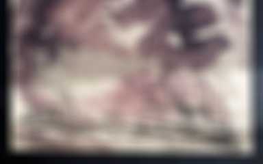 Bonaventure Fieullien