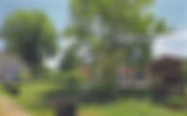Une charte pour défendre le patrimoine arboré